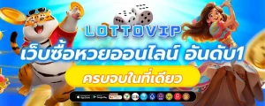 lotto 535
